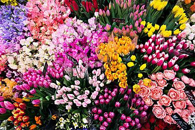 跑起来，为了拯救世界！《索尼克×夏特 世代重启》今日正式发售！