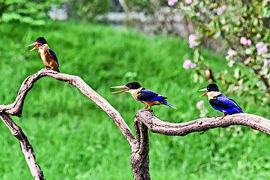 《暗喻幻想》剧情预告片展示史诗奇幻之旅
