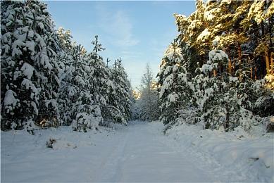 Spencer可能在照片中曝光了新串流设备